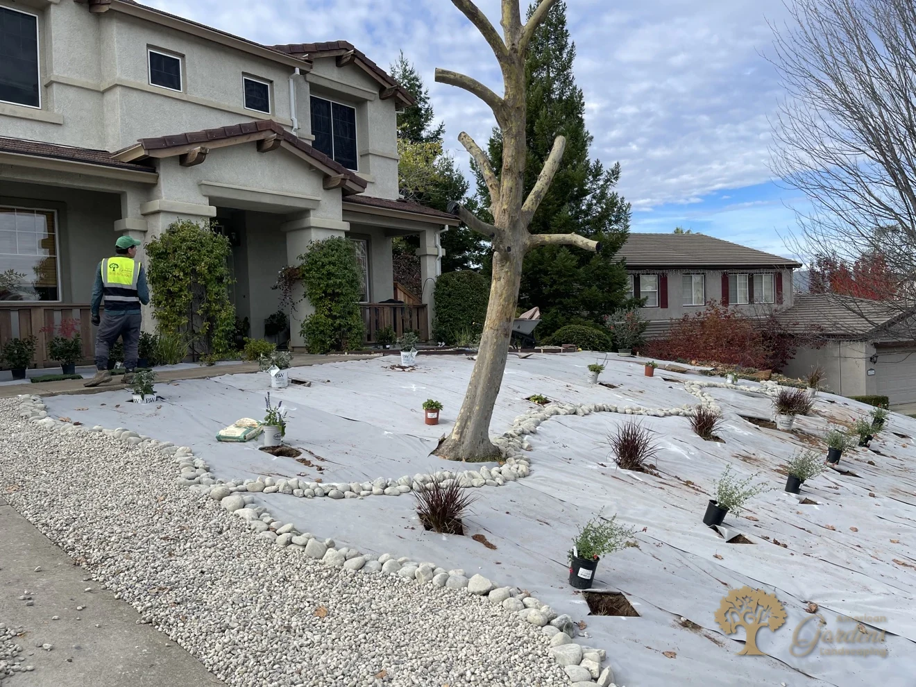 Planting underway across the fabric-covered slope in El Dorado Hills – American Gardens Landscaping