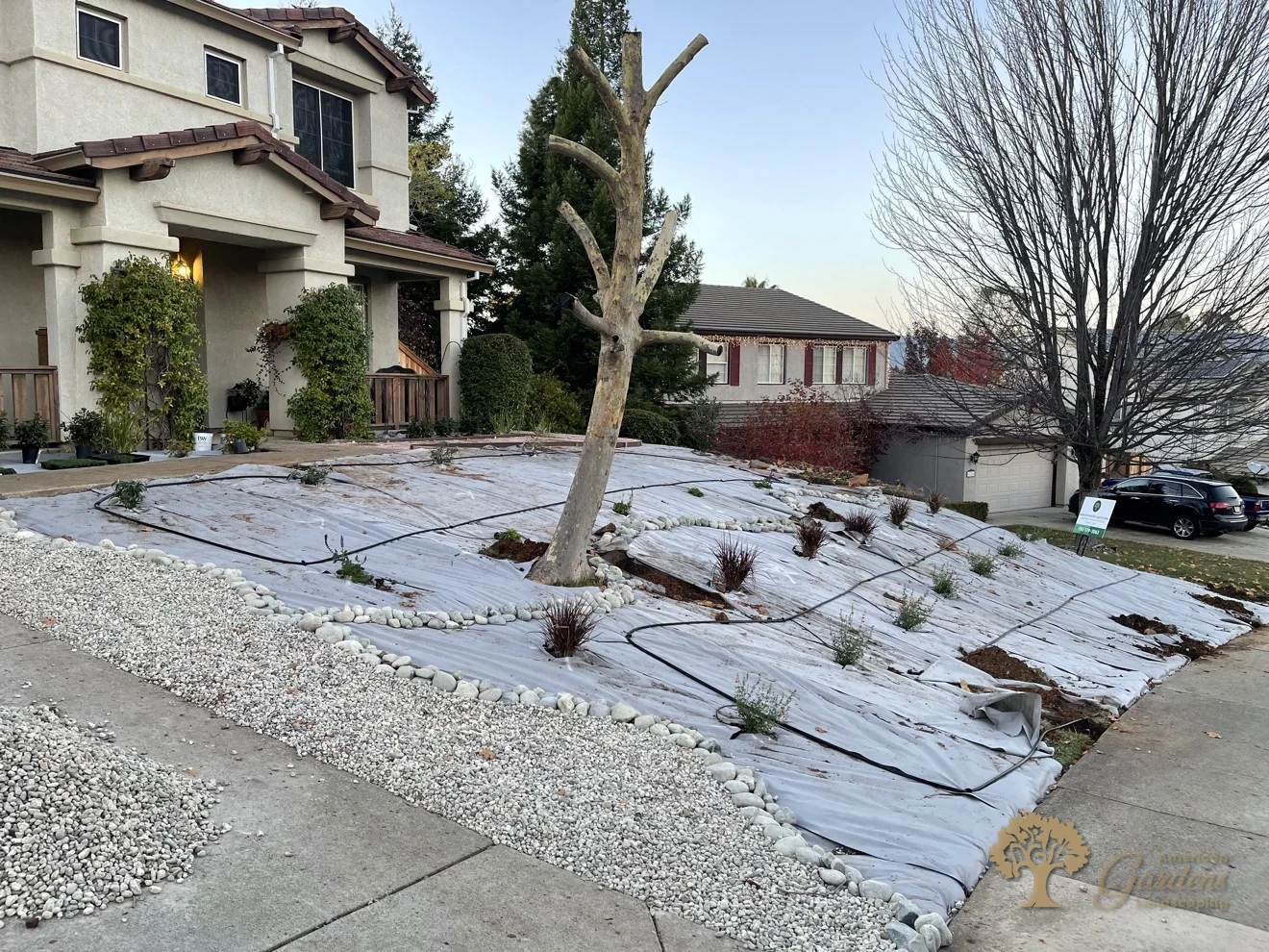 New drip irrigation lines run to every plant in El Dorado Hills – American Gardens Landscaping