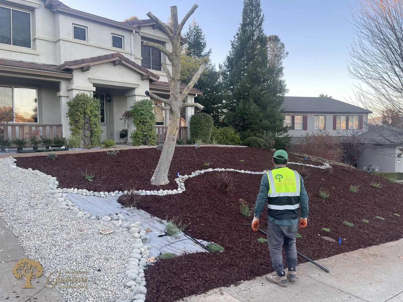 Bark nearly complete over the front yard slope in El Dorado Hills – American Gardens Landscaping