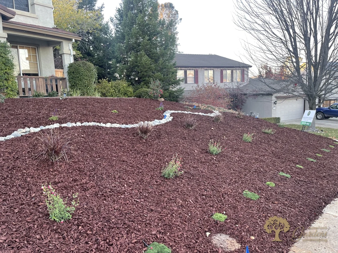 Finished bark slope with new groundcover plantings in El Dorado Hills – American Gardens Landscaping