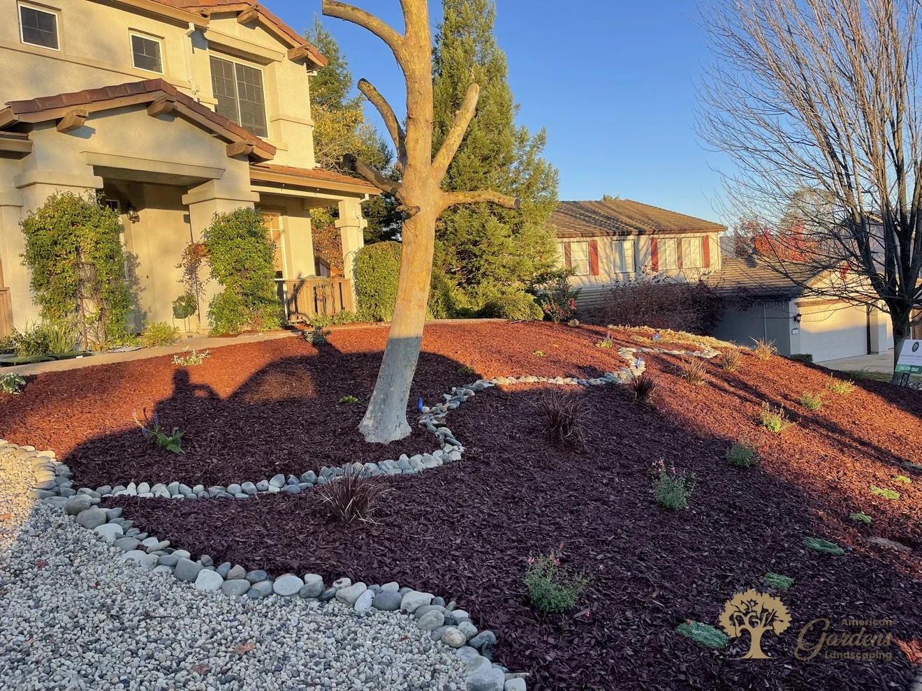 Golden-hour view of the finished front yard xeriscape in El Dorado Hills – American Gardens Landscaping