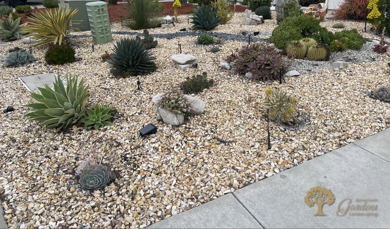 Mature succulent xeriscape front yard with river rock swale in Sacramento – American Gardens Landscaping