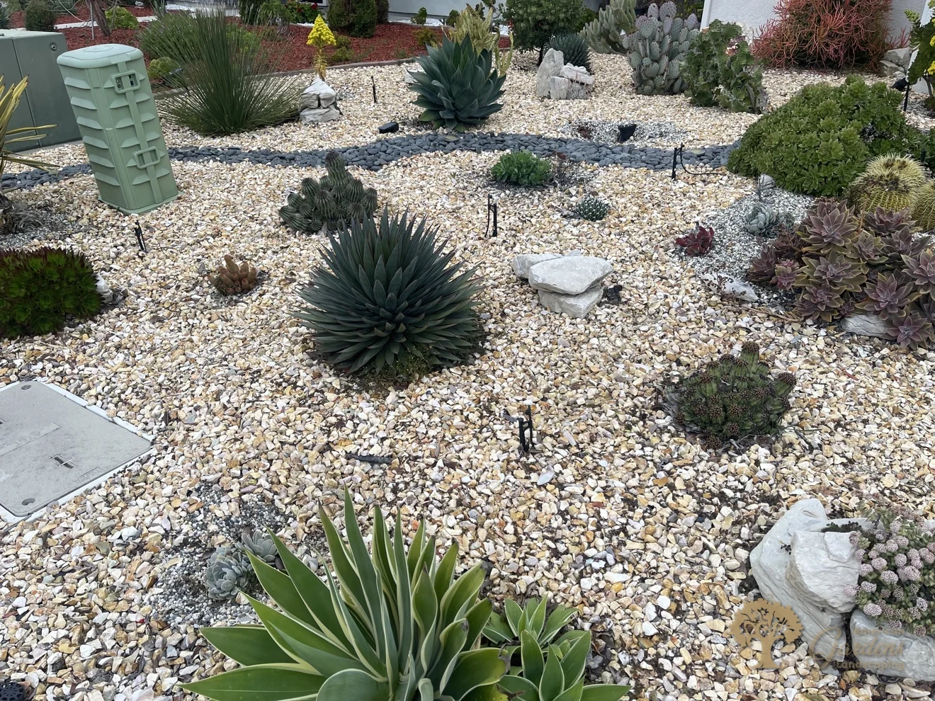 Water-wise front yard with agaves, cacti and decorative gravel in Sacramento – American Gardens Landscaping