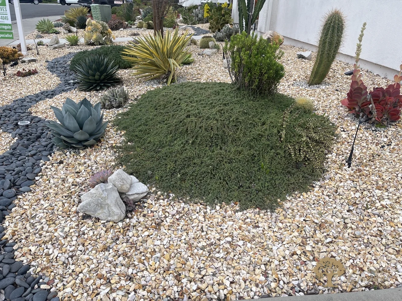 Drought-tolerant planting mound with agave and barrel cactus in Sacramento – American Gardens Landscaping