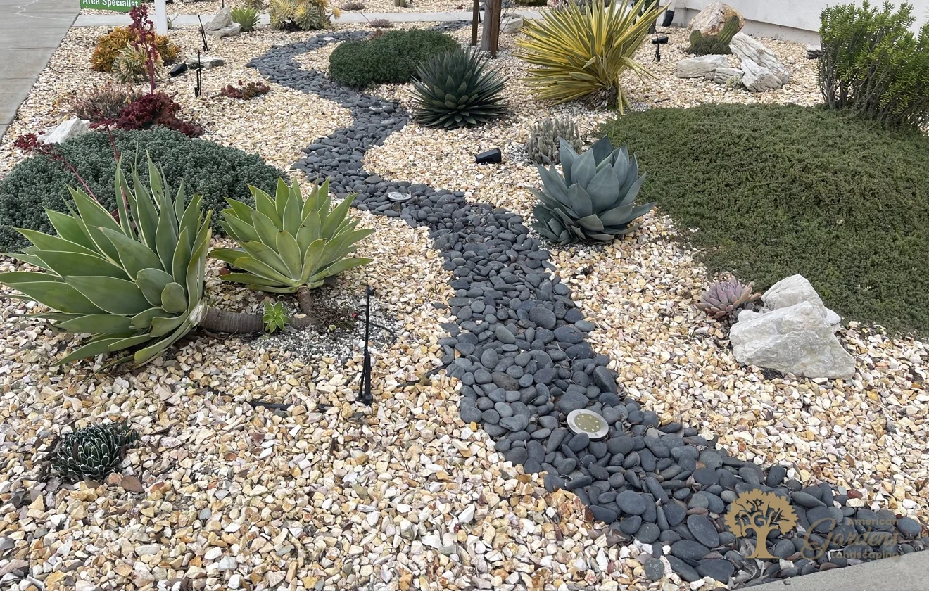 River rock dry creek winding through a succulent garden in Sacramento – American Gardens Landscaping