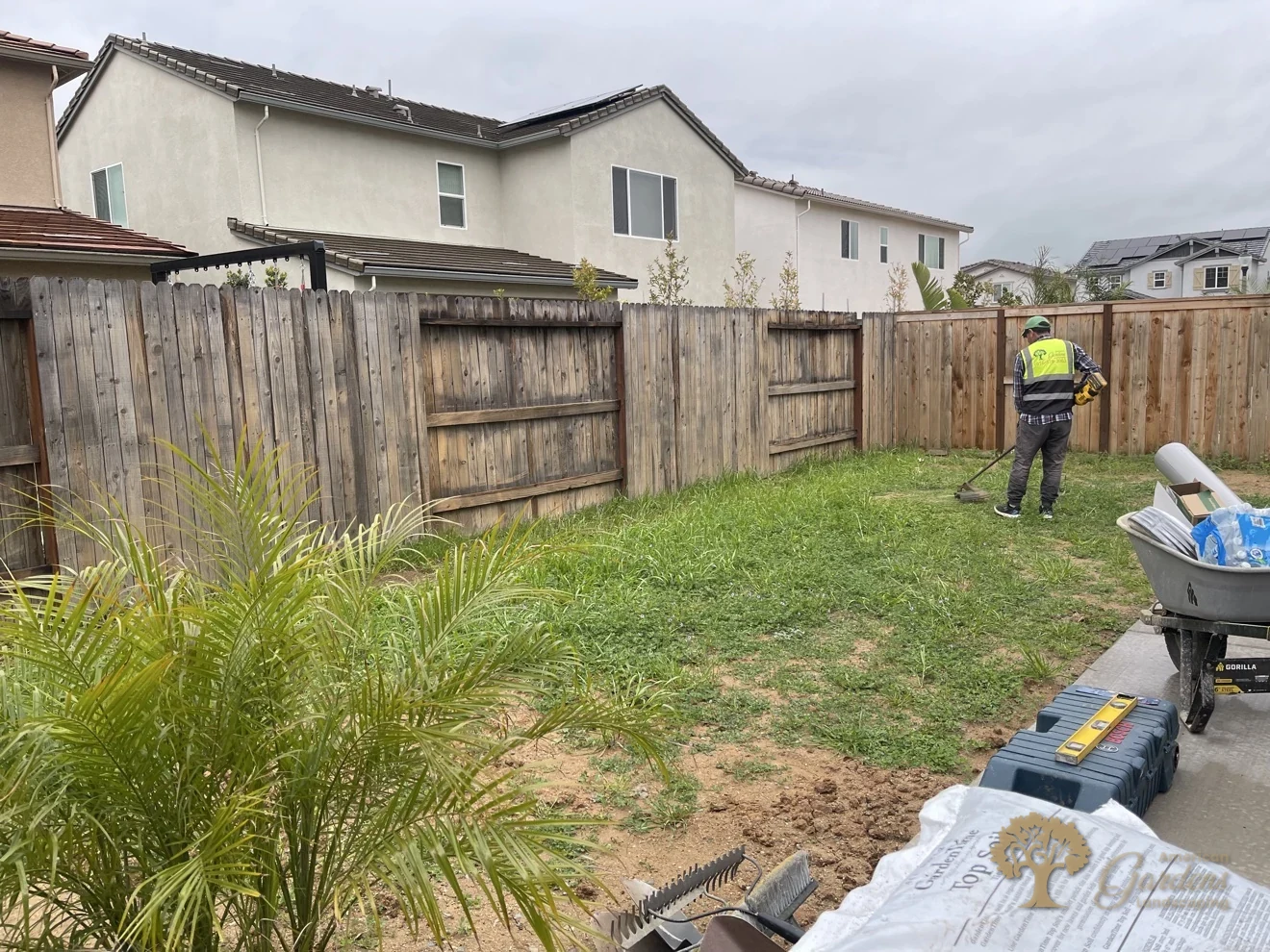 Overgrown lawn before the transformation in Lincoln – American Gardens Landscaping
