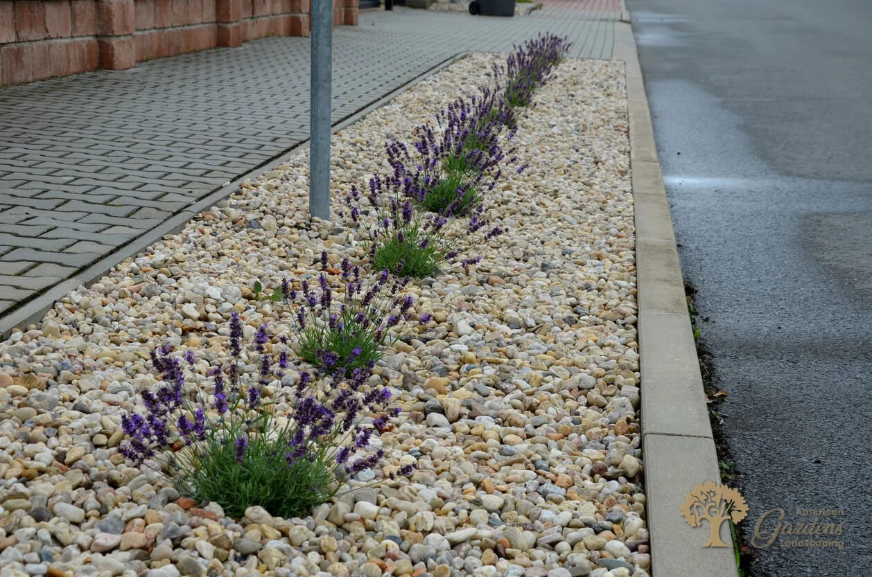 American gardens landscaping xeriscaping project 1
