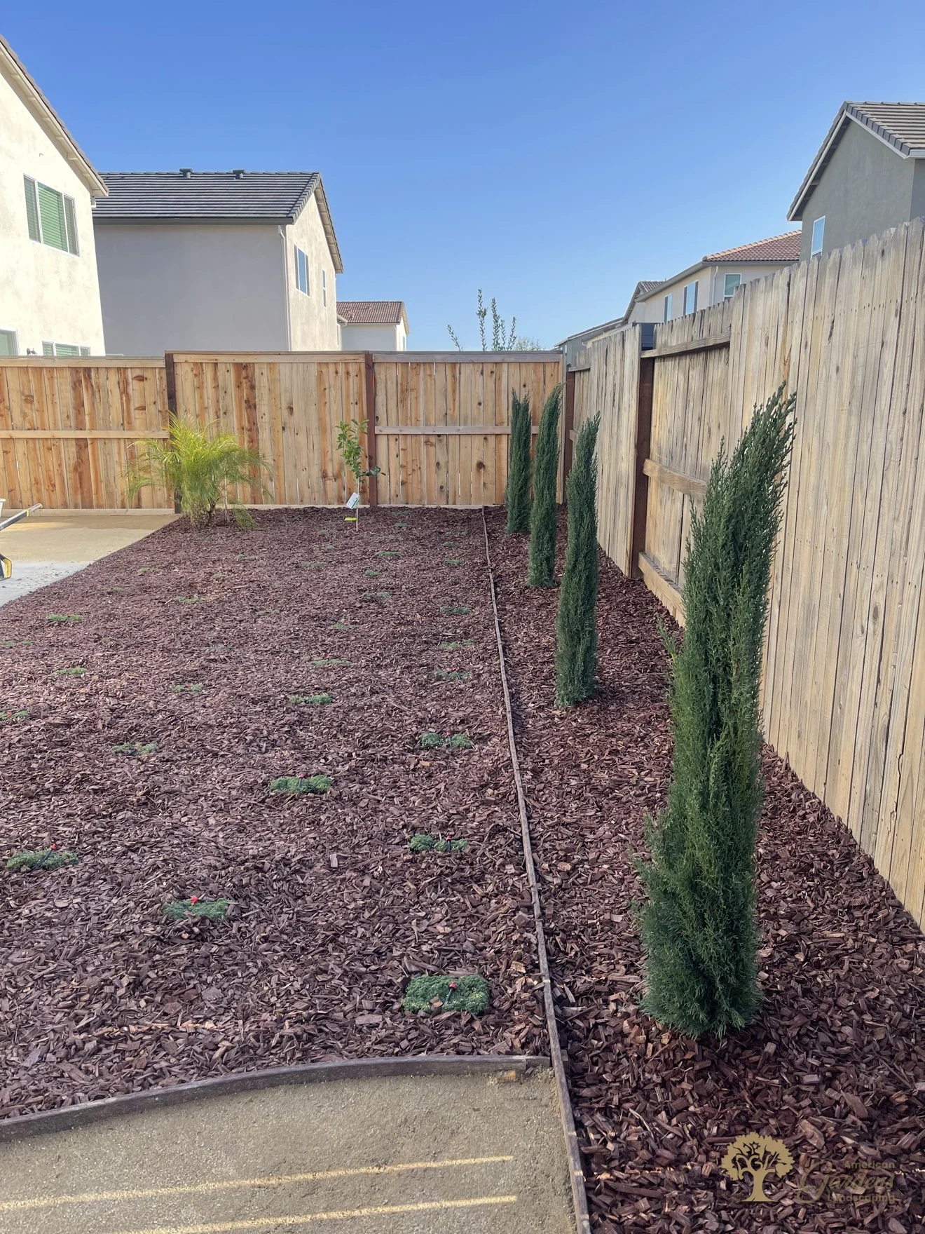 Finished side yard with Italian cypress row in Lincoln – American Gardens Landscaping