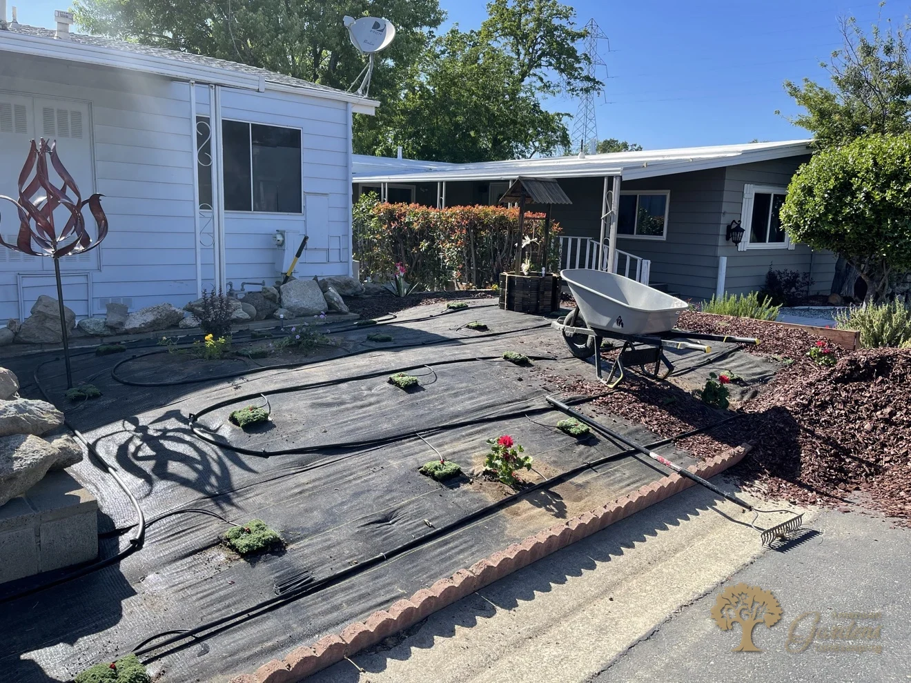 Folsom Xeriscape Front Yard – American Gardens Landscaping
