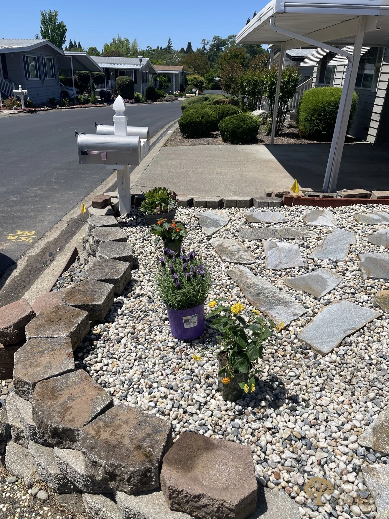 Folsom Xeriscape Front Yard – American Gardens Landscaping