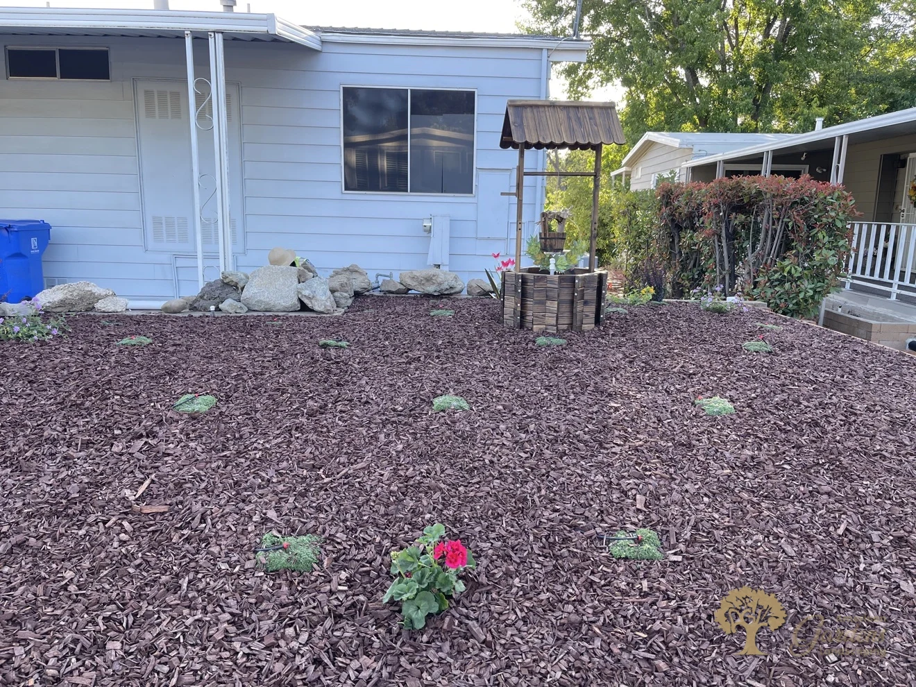 Folsom Xeriscape Front Yard – American Gardens Landscaping