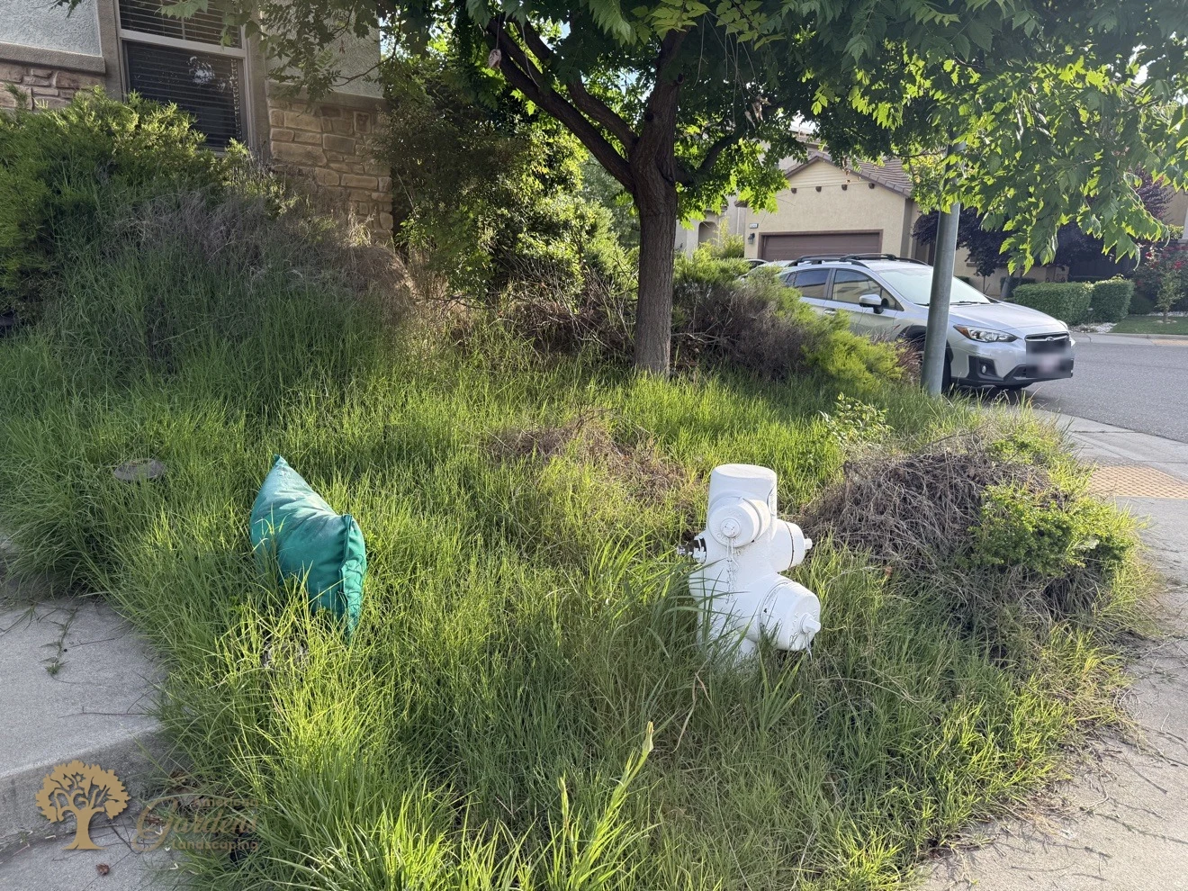 Fair Oaks Xeriscape – American Gardens Landscaping