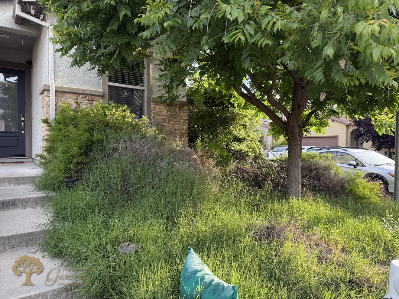 Fair Oaks Xeriscape – American Gardens Landscaping