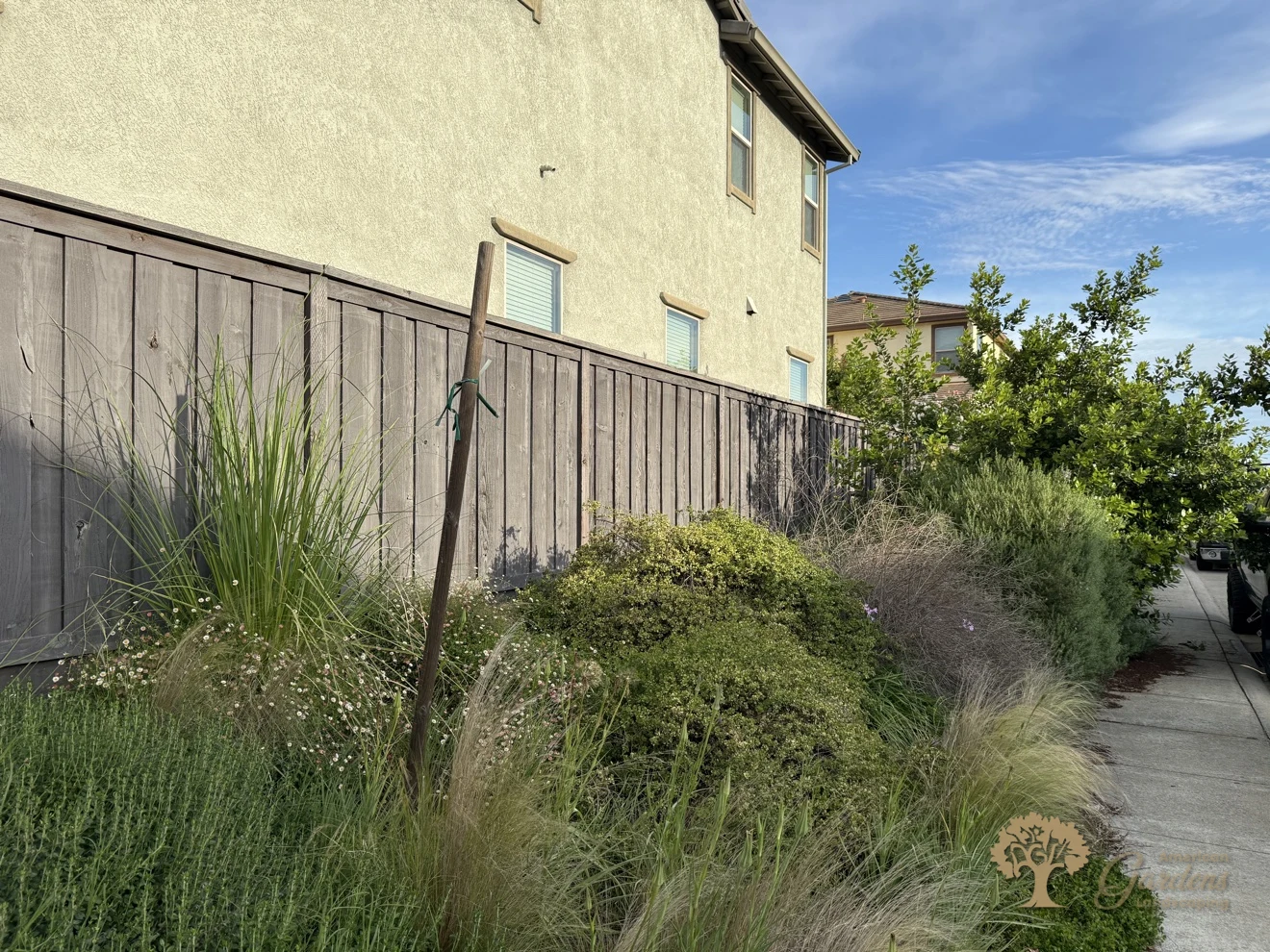 Fair Oaks Xeriscape – American Gardens Landscaping