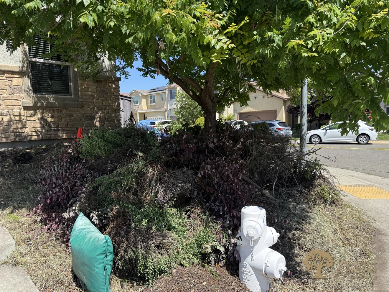 Fair Oaks Xeriscape – American Gardens Landscaping