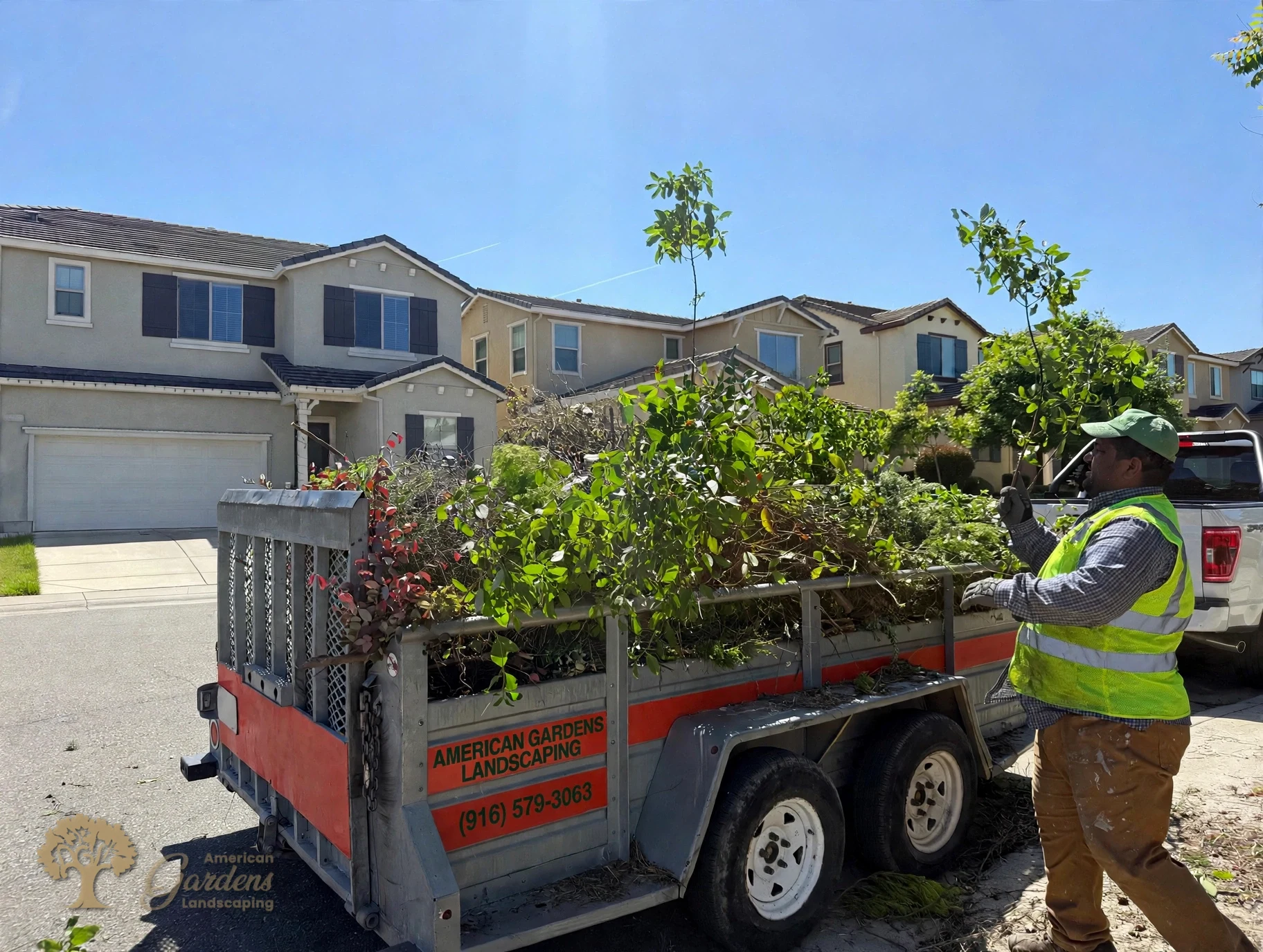 Fair Oaks Xeriscape – American Gardens Landscaping