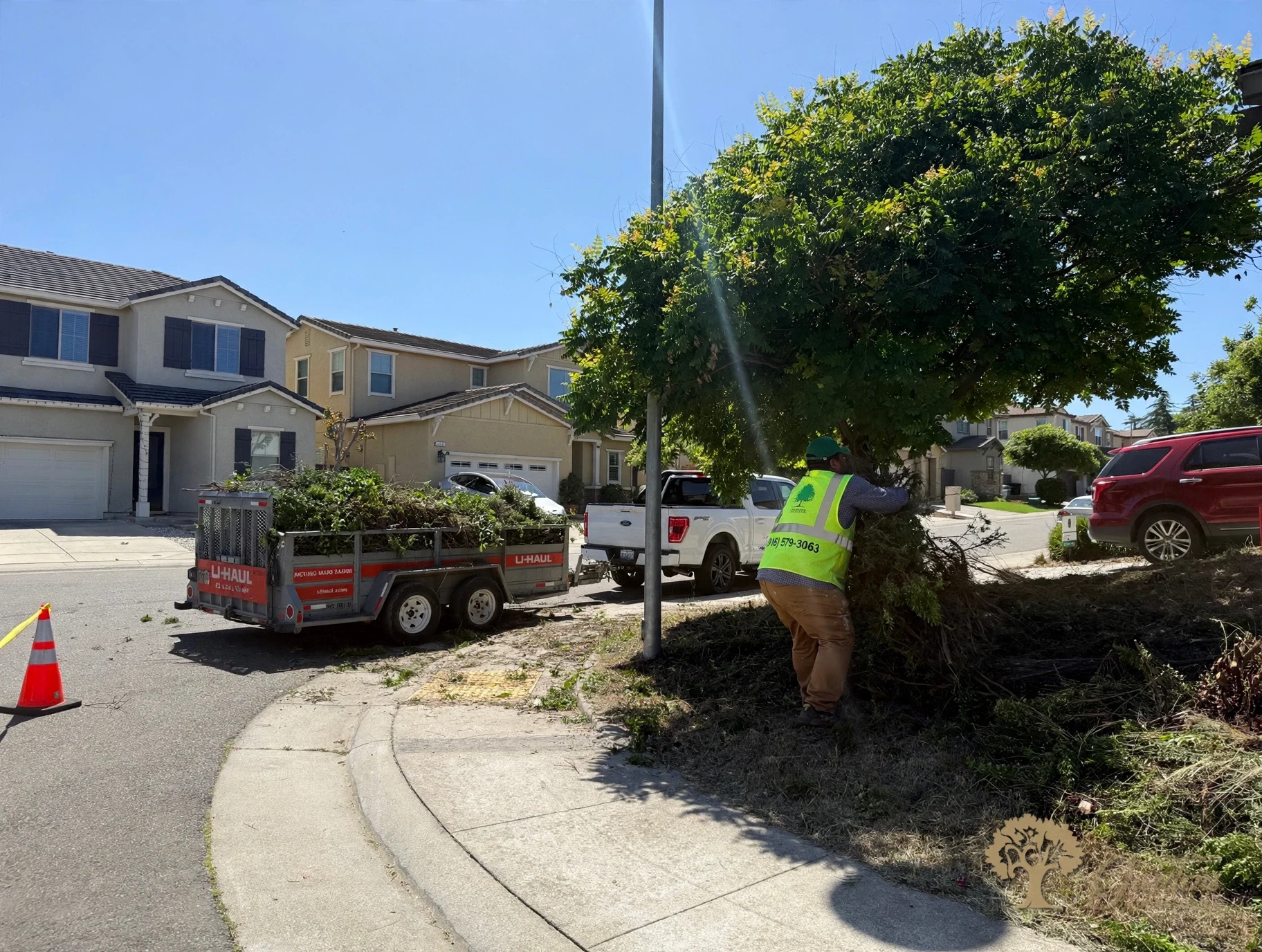 Fair Oaks Xeriscape – American Gardens Landscaping