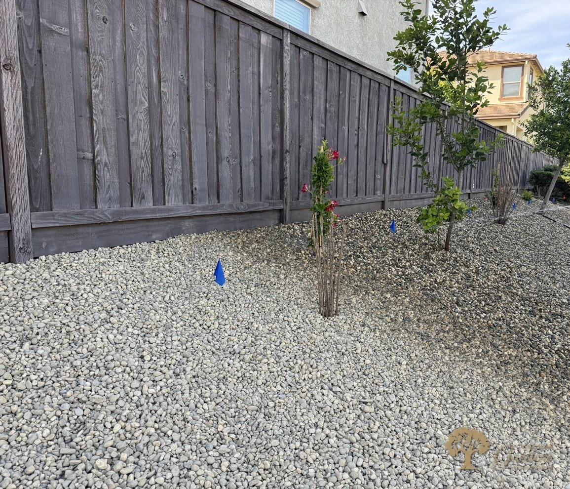 Fair Oaks Xeriscape – American Gardens Landscaping