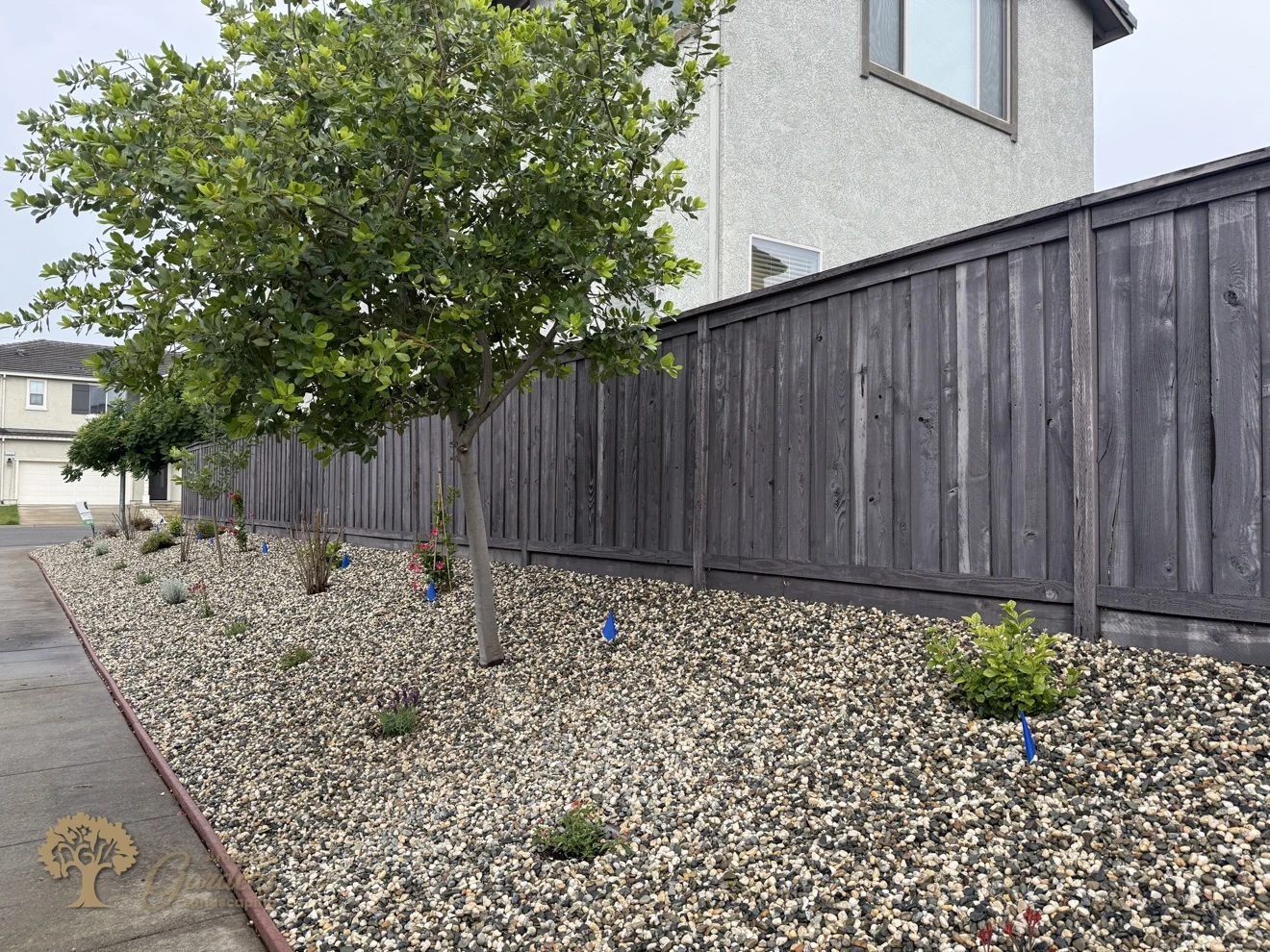 Fair Oaks Xeriscape – American Gardens Landscaping