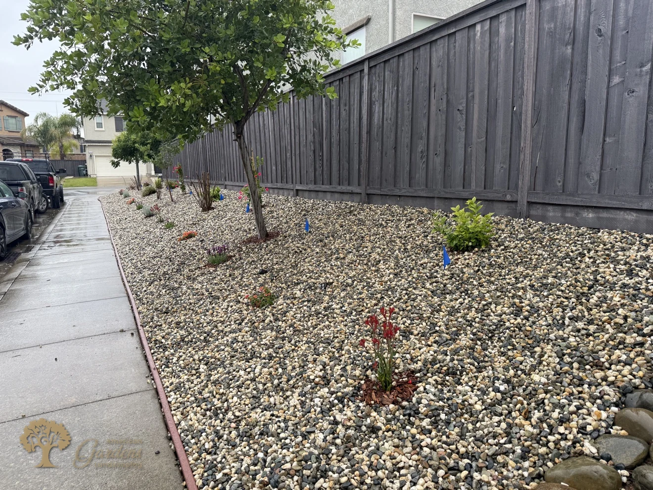 Fair Oaks Xeriscape – American Gardens Landscaping