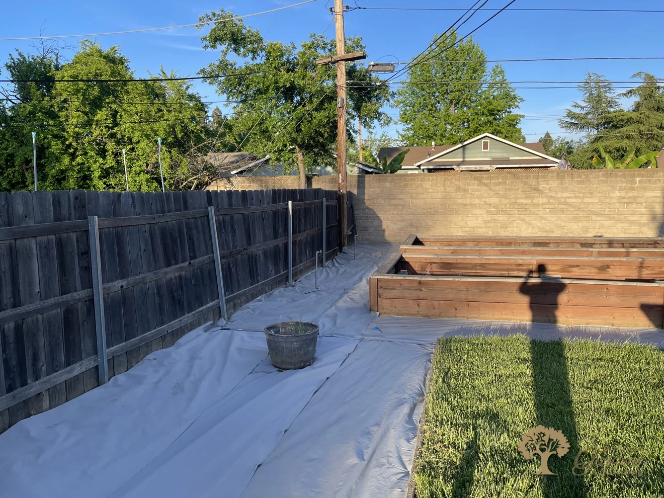 Weed fabric being laid around raised garden beds at the start of a xeriscape conversion in Carmichael