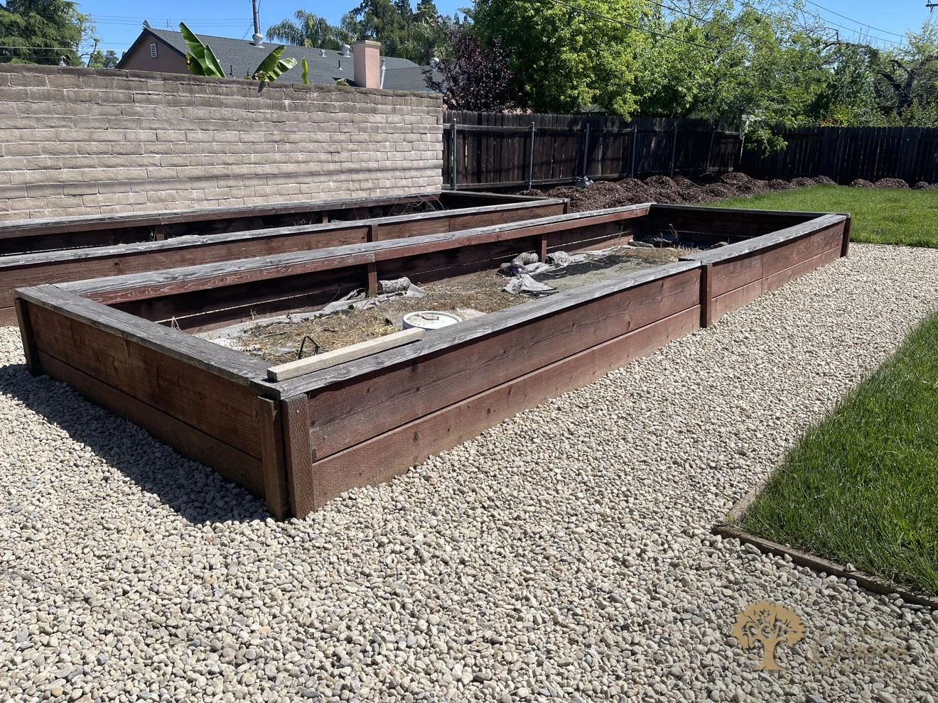 Finished decorative gravel around raised garden beds in a Carmichael backyard xeriscape
